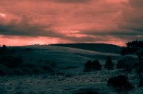 Berrima NSW Australia