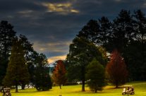 Bowral Golf Course