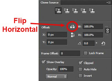 Clone Stamp Tool - Flip Horizontal setting