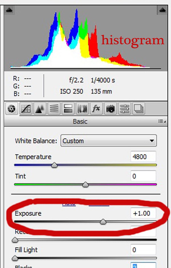 Exposure-2.jpg Exposure 2