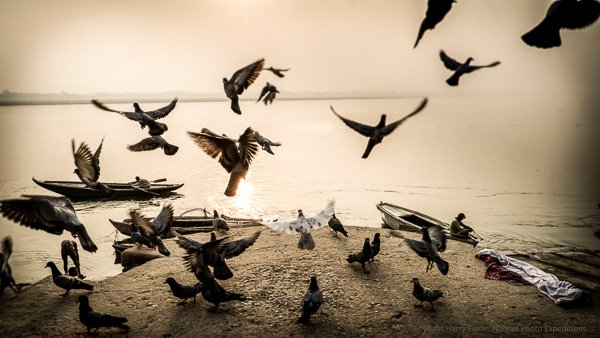 How to use wide angle H.Fisch-.jpg How to use wide angle H Fisch