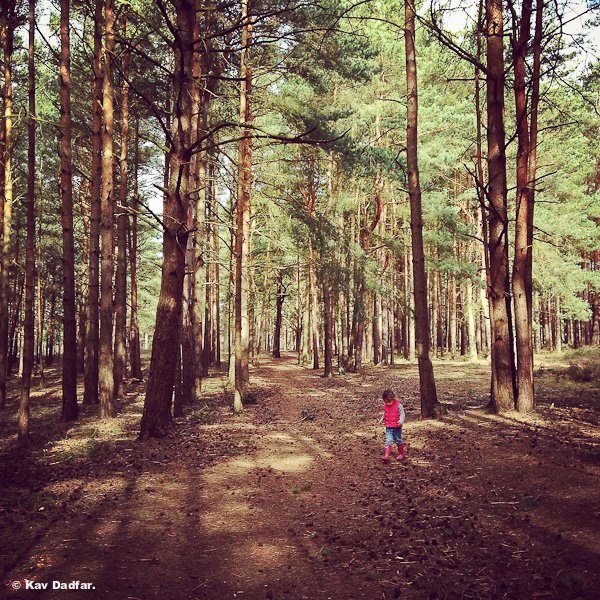 Girl_Woods_KavDadfar