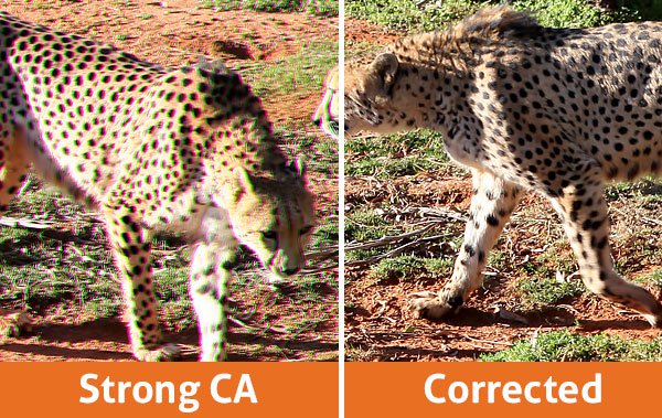 OziRig_Cheetah_Chromatic_Aberration_Comparison.jpg OziRig Cheetah Chromatic Aberration Comparison