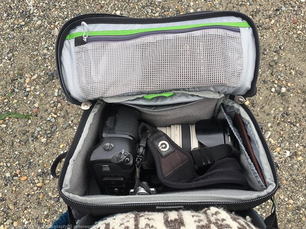 Peter-West-Carey-IMG_7340