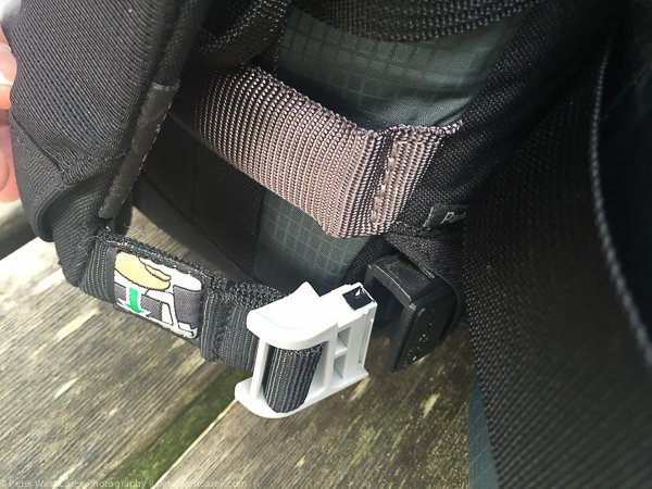 Peter-West-Carey-IMG_7345