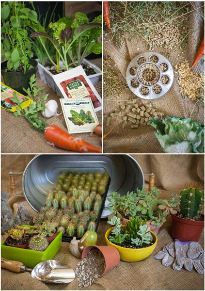 Large family-run urban farm.
