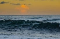 Wave goodbye