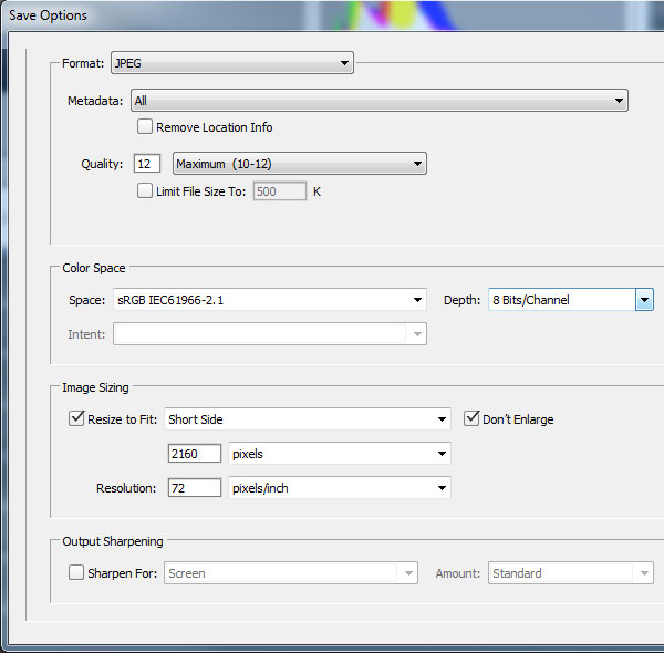 Adobe Camera Raw Save Options