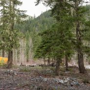 Nikon D7200 real-world samples gallery posted