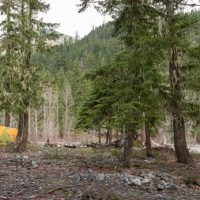 Nikon D7200 real-world samples gallery posted