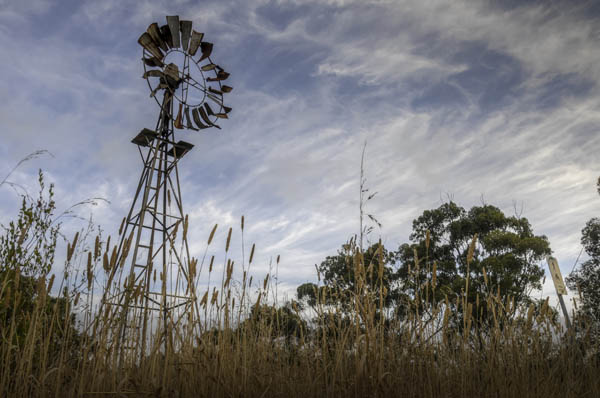 image2-inverleight-windmill-leannecole