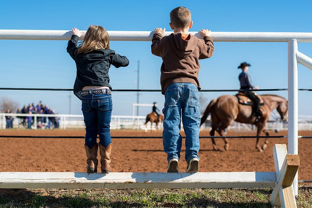 kids-horses