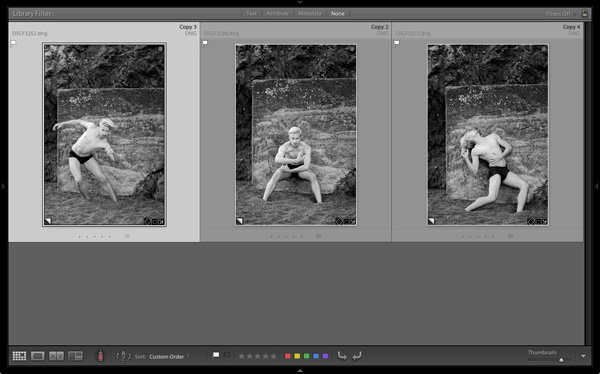 Lightroom print module triptych
