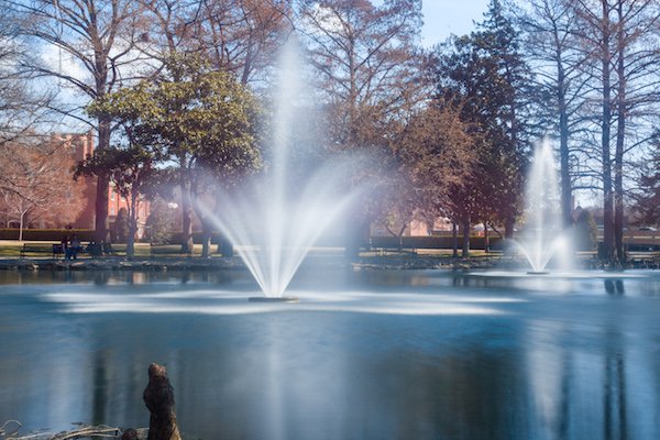 Using a ball head made positioning my camera for this shot much easier than if I was working with a standard all-in-one tripod head.