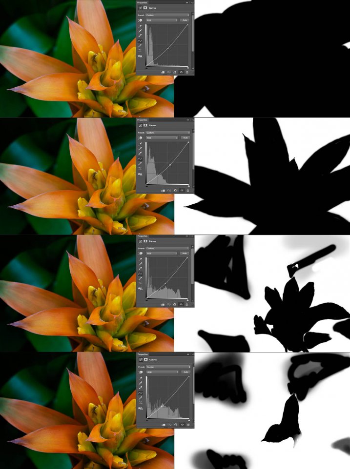 4-macro-curves-layer