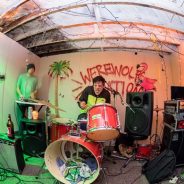 Olympus 7-14mm F2.8 Pro and 8mm F1.8 Fisheye Pro real-world galleries posted