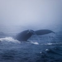 Weekly Photography Challenge – Ocean Waves