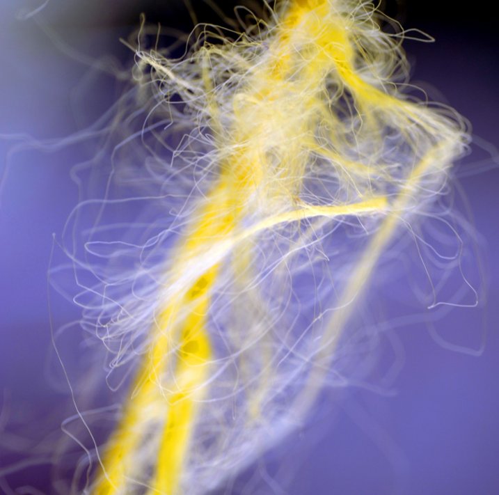 Frayed rope abstract