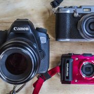 Mirrorless, DSLR or Point and Shoot: Which Camera is Best for Macro Photography?