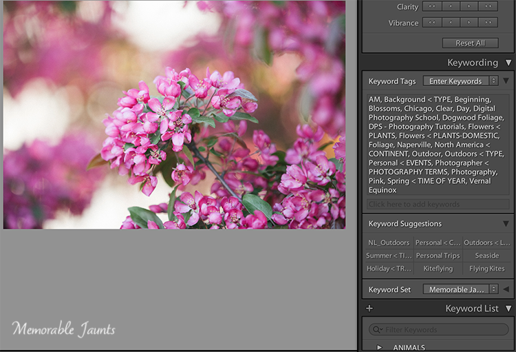 DPS Article on Keywords in LR by Memorable Jaunts - Assigning Keywords to images