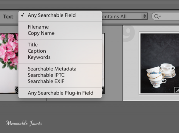 DPS Article on Keywords in LR by Memorable Jaunts - Filering using keywords - Searchable by keyword
