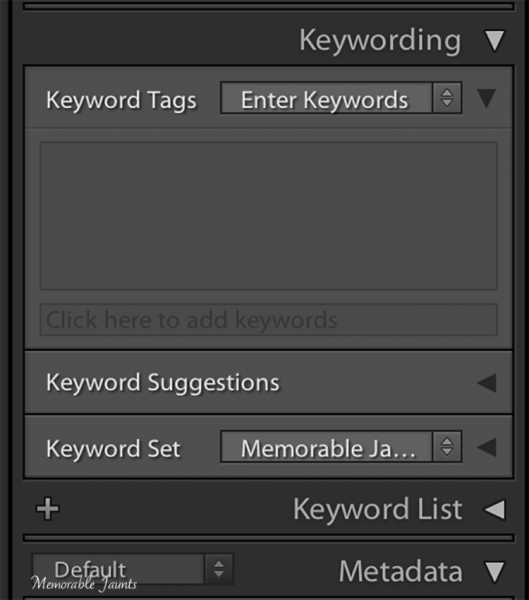 Keyword Panel in Lightroom's Library Module
