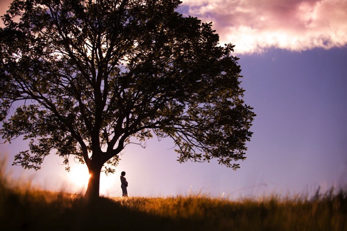 DPS Silhouette-2.jpg DPS Silhouette 2