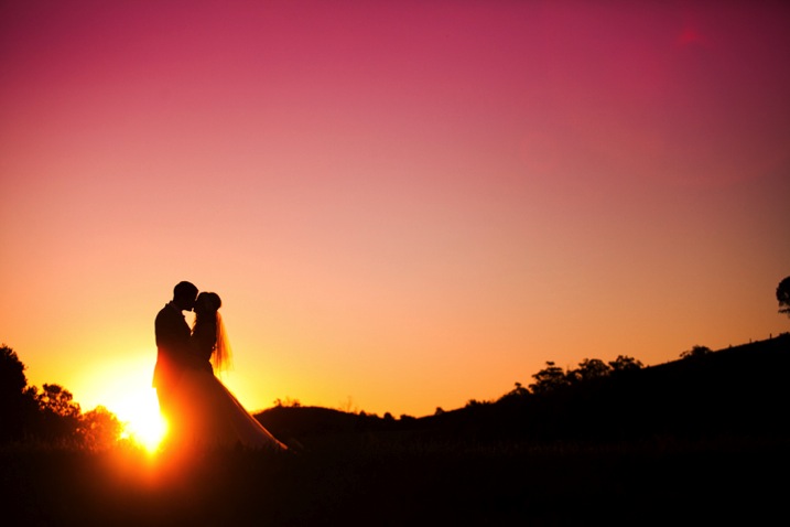 DPS Silhouette-4.jpg DPS Silhouette 4
