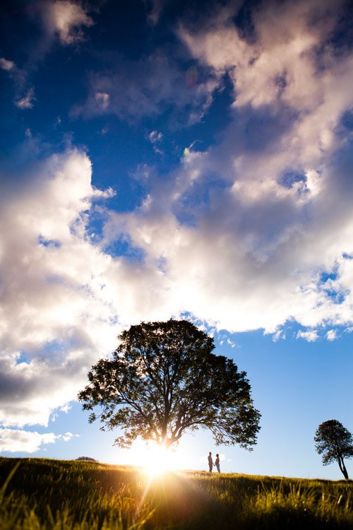 DPS Silhouette-8.jpg DPS Silhouette 8