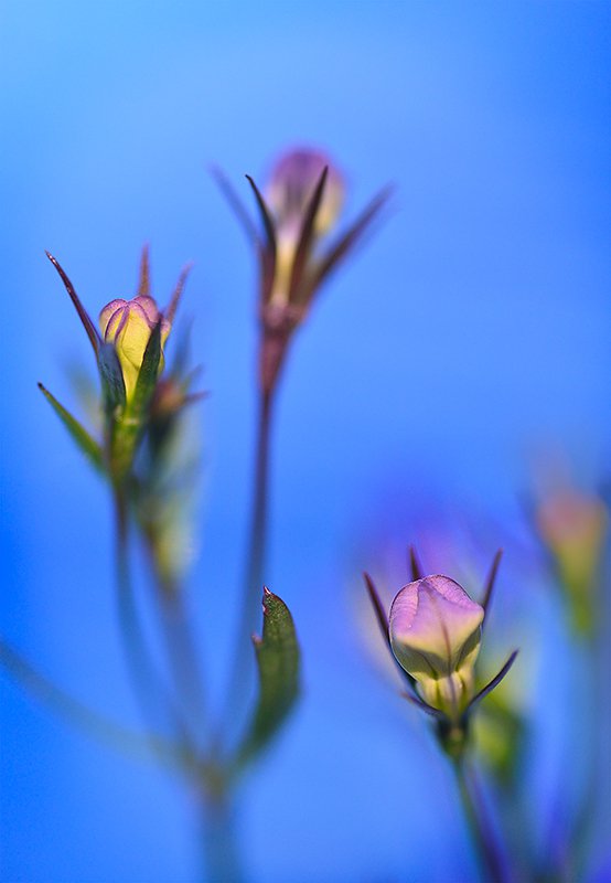 _DSC0785_0026