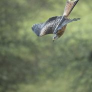 6 Reasons to Become a Nature Photographer