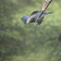 6 Reasons to Become a Nature Photographer