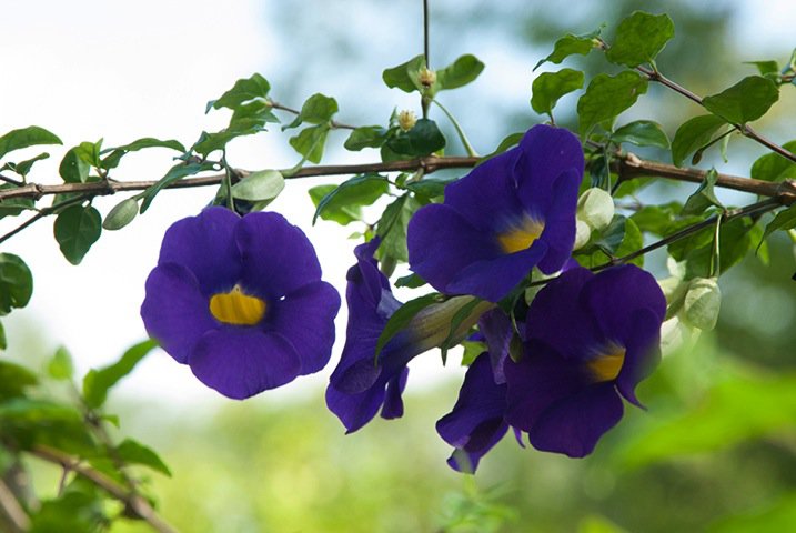 MBEATY 6 .jpg MBEATY 6