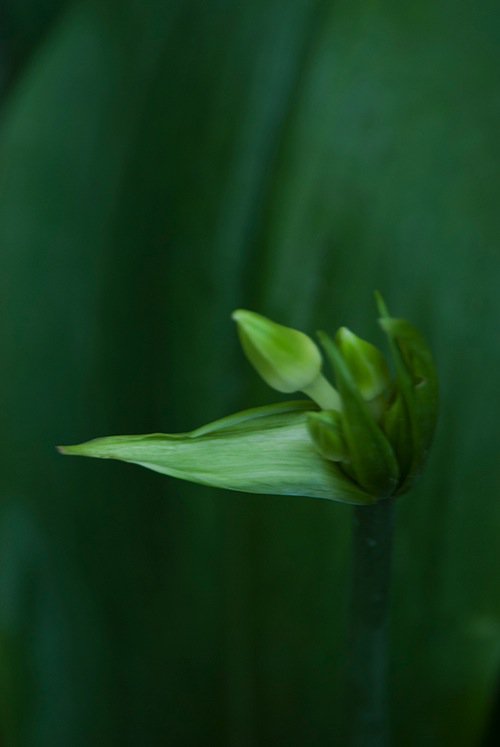 MBEATY photo 3.jpg MBEATY photo 3