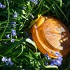 Sample photo