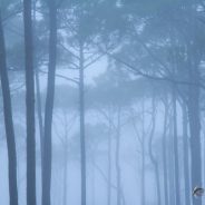 How to Protect Your Camera in Extreme Weather