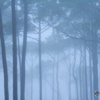 How to Protect Your Camera in Extreme Weather