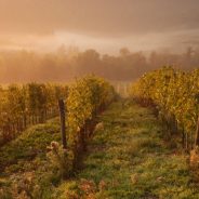 7 Travel Photography Tips Your Tour Guide Wonâ€™t Tell You