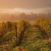 7 Travel Photography Tips Your Tour Guide Won’t Tell You