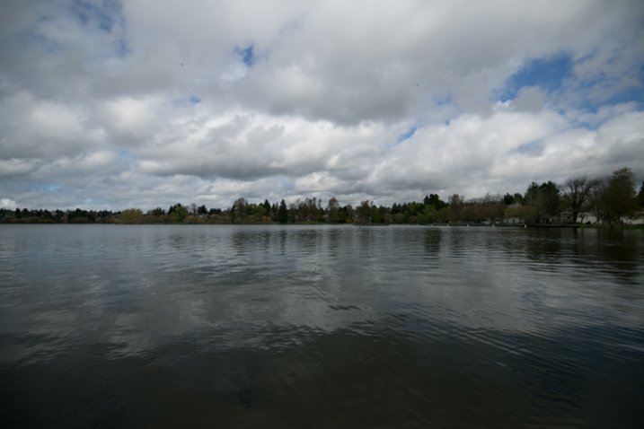 1/4000 of a sec at f/2.8, ISO 100, at 15mm. Notice the natural vignetting around the edges of this unedited photo.