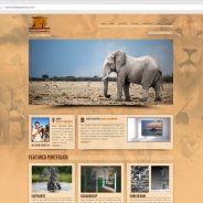 The Future of Photography Websites â€“ Understanding and Adapting to Trends