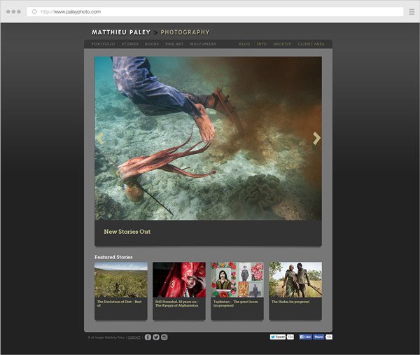 example-6-paleyphoto.jpg Example 6 paleyphoto