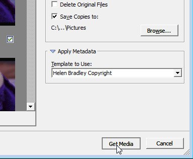 import-photos-using-bridge-8