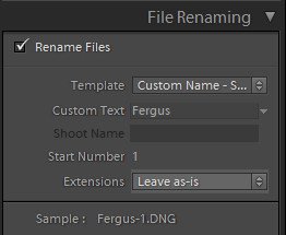 import-photos-using-lightroom-4