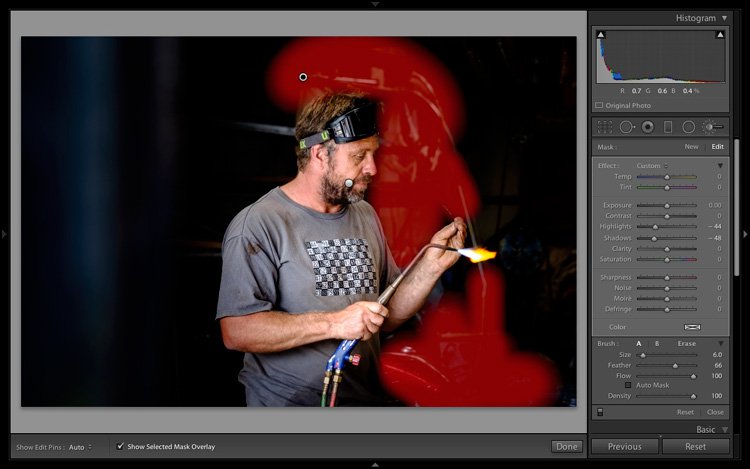 Isolating the subject in Lightroom