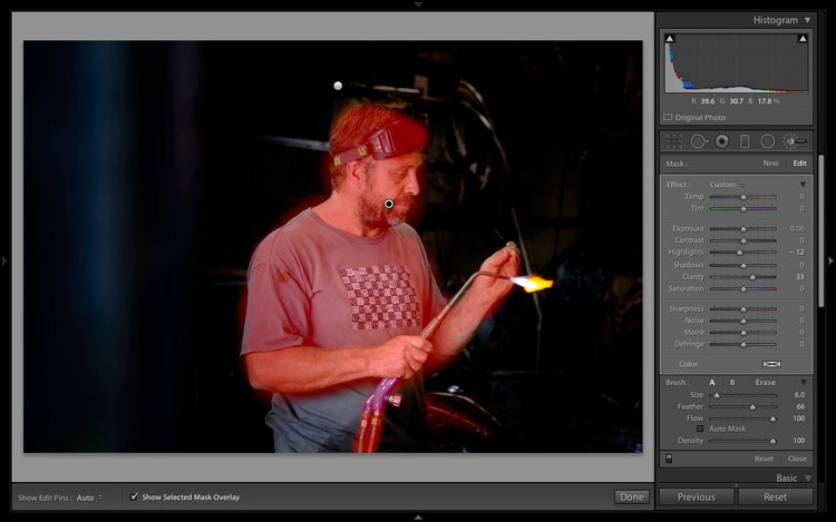 Isolating the subject in Lightroom