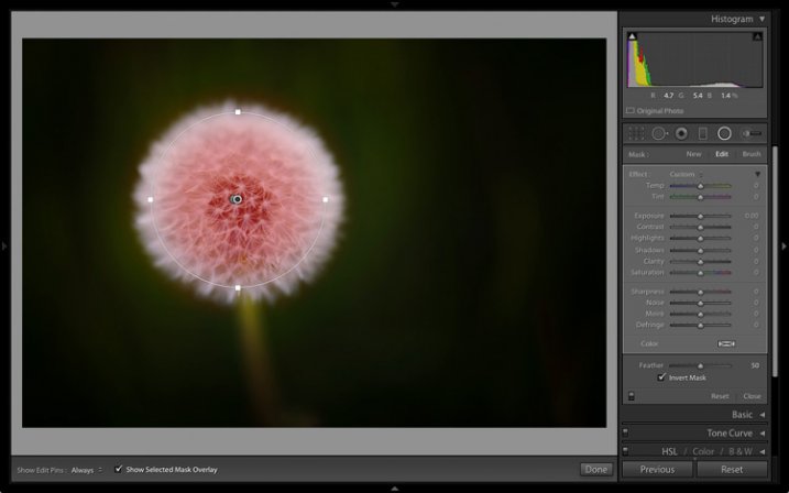 Lightroom 6 graduated radial filter adjustments