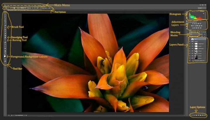 photoshop-setup-2