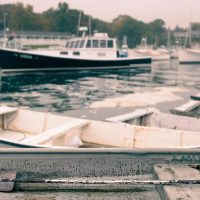 Stop the Rush and Return to Simplicity