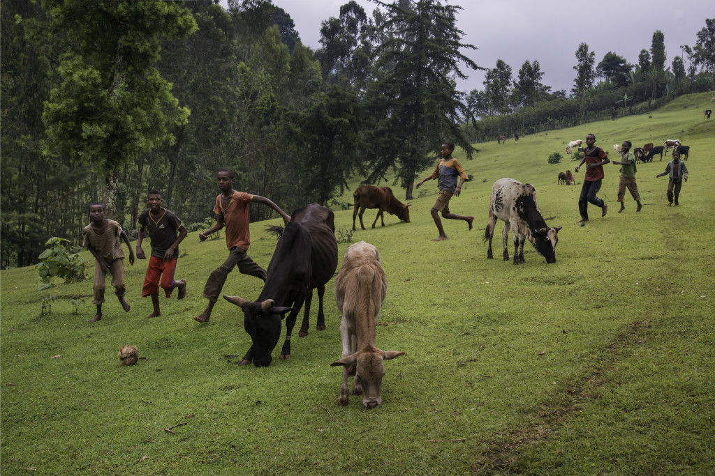 Children play football in a clearing on a coffee estate, Amaro region, Ethiopia, 2014